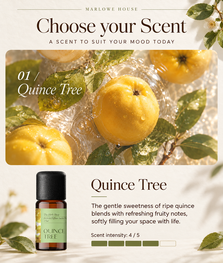 Mini Bouquet Aroma Concentrate