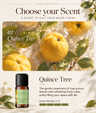 Mini Bouquet Aroma Concentrate