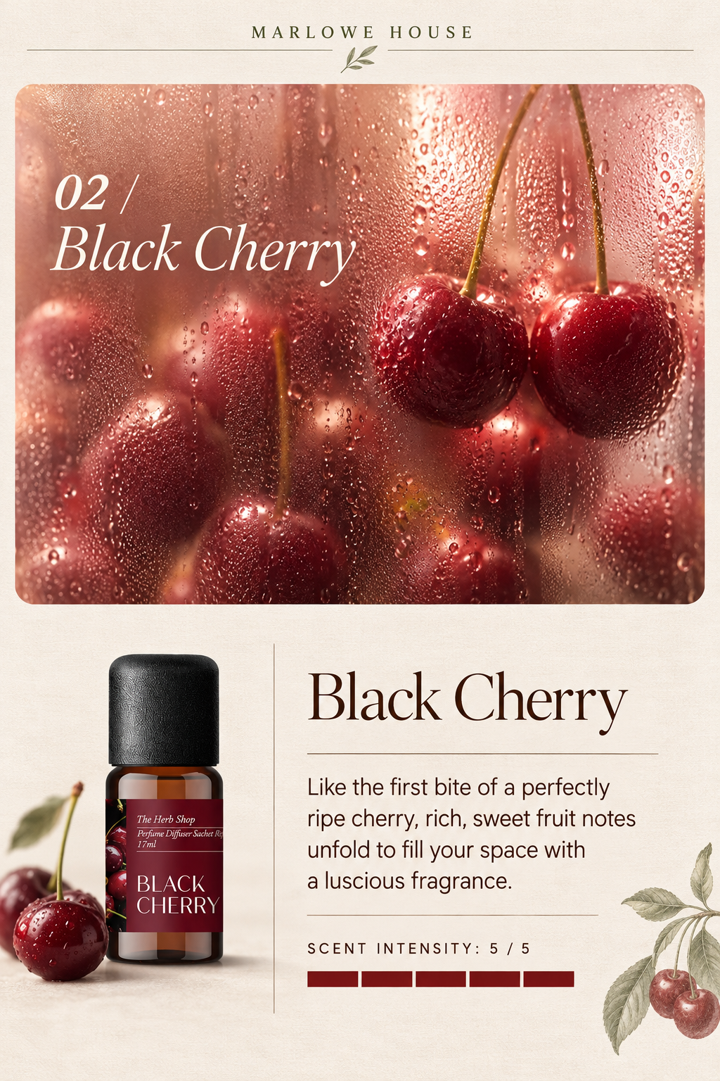 Mini Bouquet Aroma Concentrate
